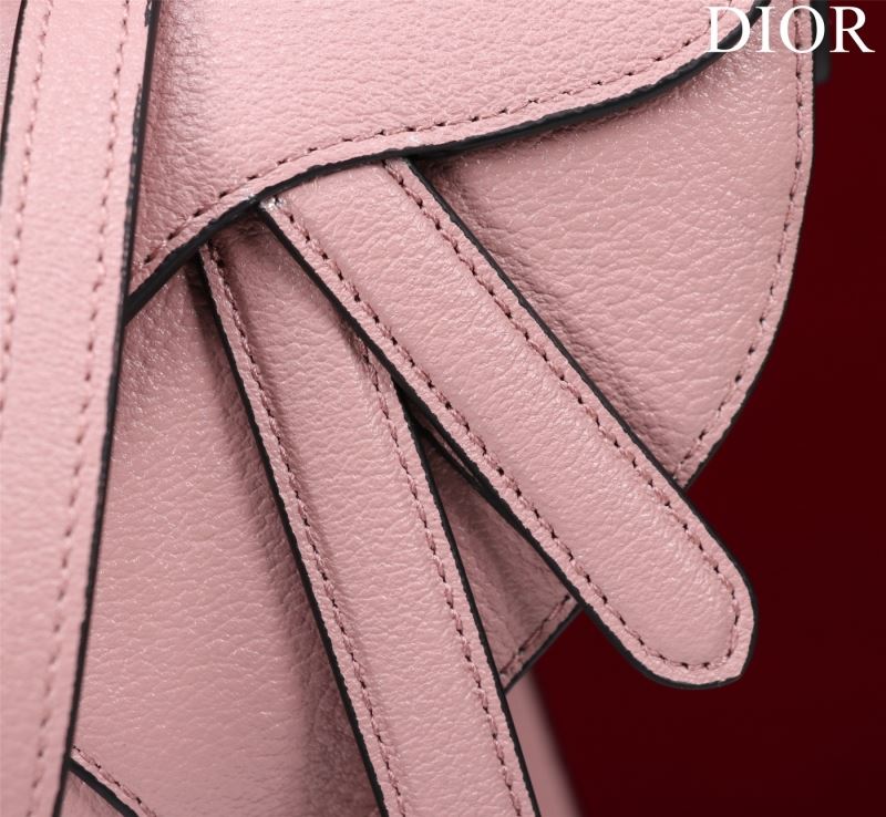 Christian Dior Saddle Bags